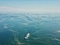 Route to Market for Offshore Wind Development in Vietnam: GWEC's Statement On Implementing Vietnam's PDP 8 Target and Net Zero Commitment